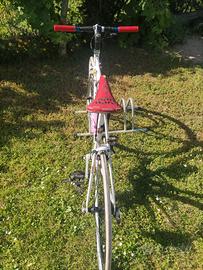 Biciclette molto belle 