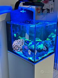 acquario cubo Aqua Medic
