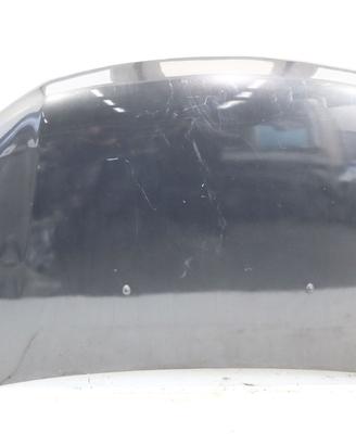 COFANO ANTERIORE DACIA Sandero Serie II 651001918R