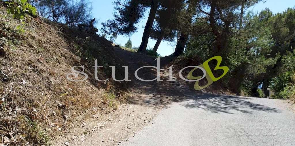 Terreno Edificabile a Seborga - Altro