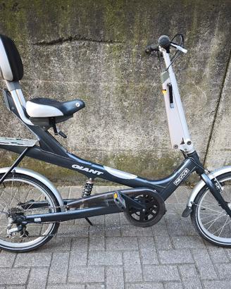 bicicletta GIANT REVIVE