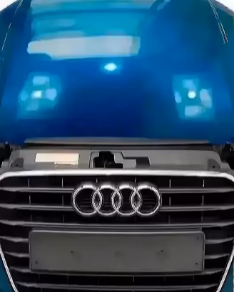 Audi A3 8V Muso Paraurti Fari Radiatori