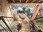 Immagine 26