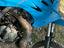 Immagine 2