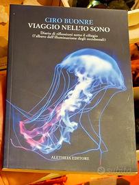 Libro Viaggio nell'Io Sono 