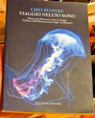 Libro Viaggio nell'Io Sono 