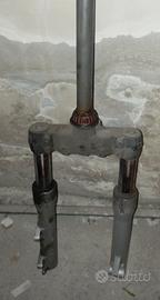 Forcella Beverly 500 