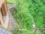 Immagine 28