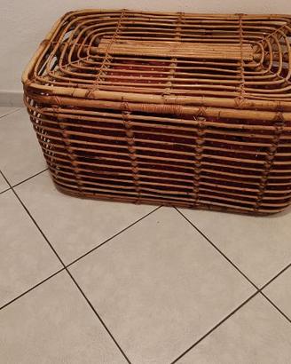 cesta