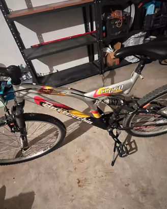 Bici mountain bike armotizzata