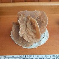 minerale rosa del deserto