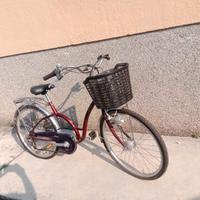 bici elettrica