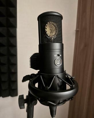 Warm audio Wa 8000