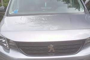 Peugeot Rifter Gt Line