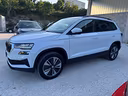 skoda-karoq-1-0-tsi-110-cv-executive