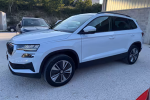 Skoda Karoq 1.0 TSI 110 CV Executive