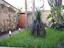 Immagine 19