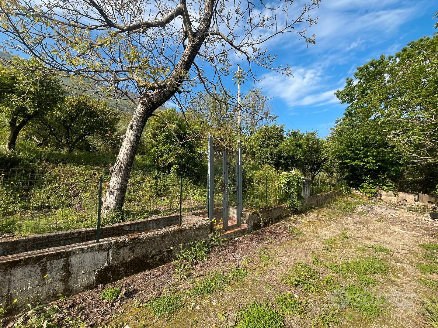 Terreno agricolo - zona montalbino - Vista 3