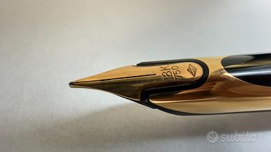 Waterman CF stilo nuova con converter