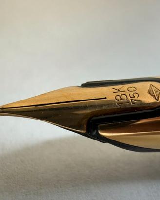 Waterman CF stilo nuova con converter