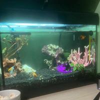 Acquario 28L Completo+ accessori e decorazioni