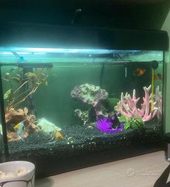 Acquario 28L Completo+ accessori e decorazioni