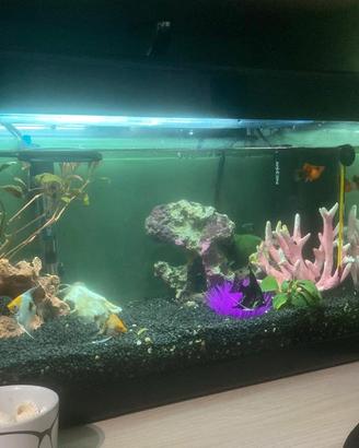Acquario 28L Completo+ accessori e decorazioni