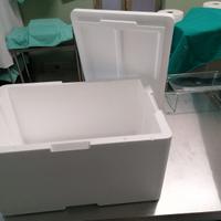 ovuli polistirolo medi