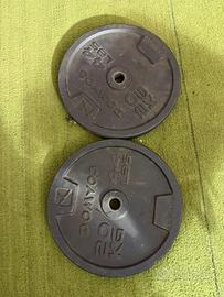Coppia dischi in ghisa da 20kg