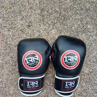 Guantoni da boxe ironitro