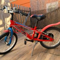 Bicicletta