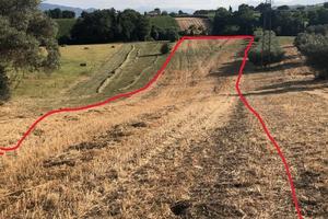 Terreno agricolo/artigianale