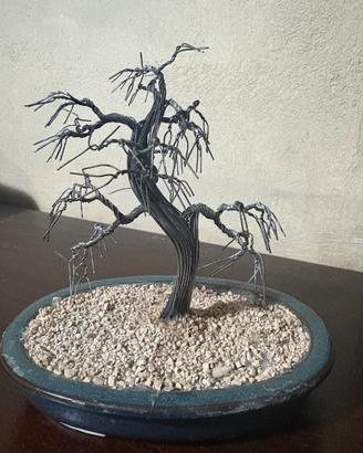 Bonsai argento 925