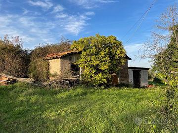 Terreno con rudere e pozzo - Castel Ginnetti