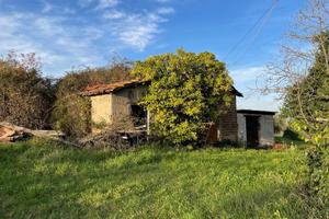 Terreno con rudere e pozzo - Castel Ginnetti