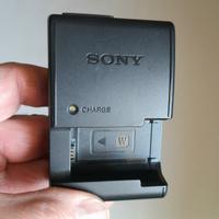 caricabatterie sony + batteria 