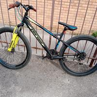 MTB bici