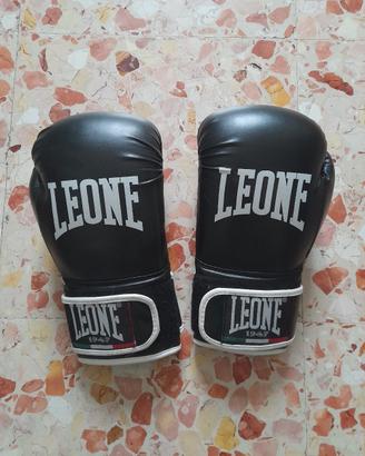 Guantoni da Boxe Leone