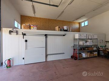 Cella frigo 40m2 e attrezzatura