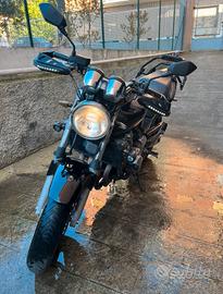 Honda hornet