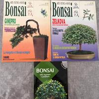 Libro riviste bonsai