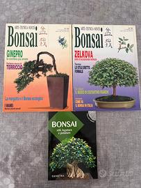 Libro riviste bonsai