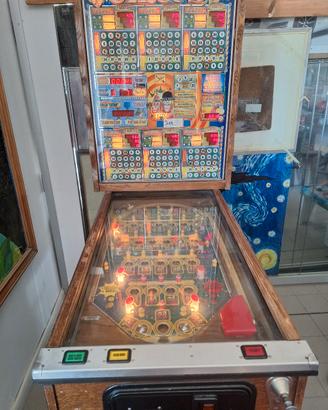 flipper bingo