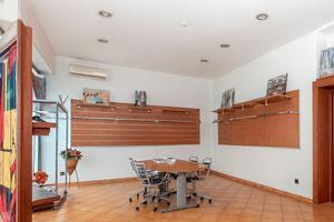 Zona stadio negozio ristrutturato buon investiment