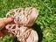 Immagine 4