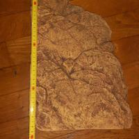 isola per tartarughe d acqua