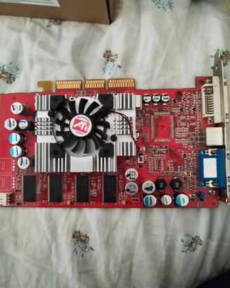 Scheda video Agp ATI Radeon
