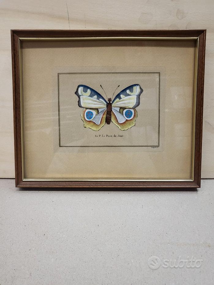 Cornice portafoto in legno, 28 x 35,6 cm, supporto da tavolo e