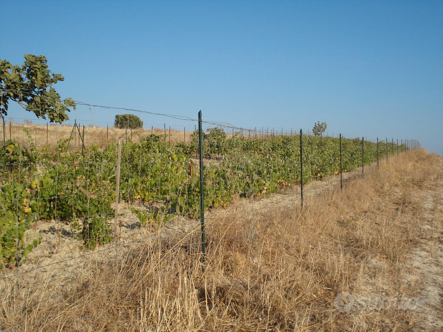 Terreno agricolo Monserrato - Vista 4