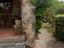 Immagine 17